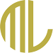tinhdaumylinh.com favicon
